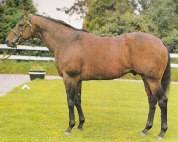 stallion Habitat xx (Thoroughbred, 1966, from Sir Gaylord xx)