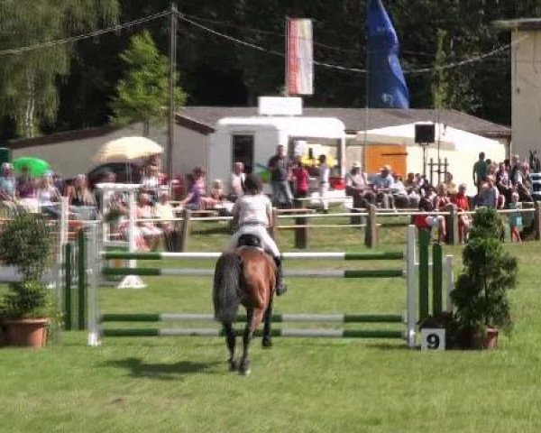 jumper Leroy N (Rhinelander, 1999, from Lancer II)