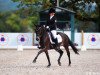 Dressurpferd Promise Champ of Gipsy (Deutsches Reitpony, 2004, von FS Champion de Luxe)