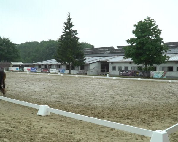 Reitturnier Bad Marienberg - OT Nisterau 2022