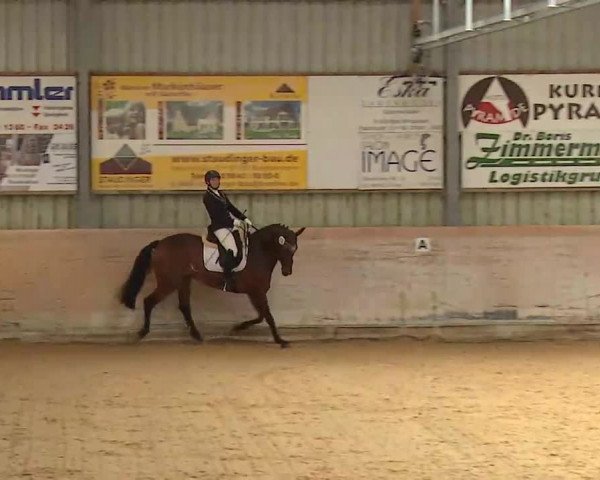Reitturnier Bad Windsheim/Mfr. 2022