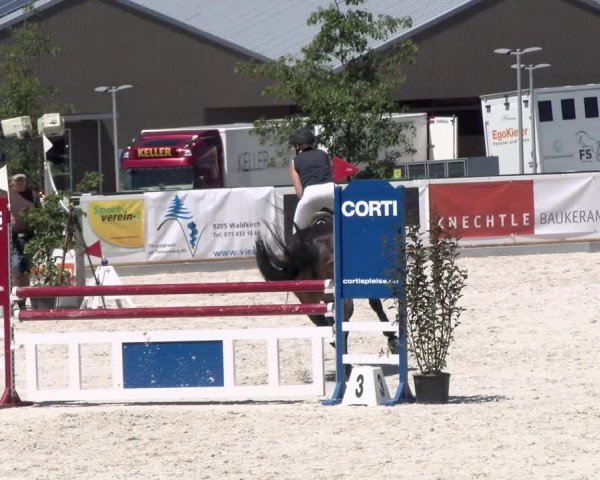 Reitturnier Gossau 2022