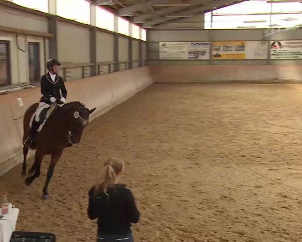 Reitturnier Bad Windsheim/Mfr. 2022