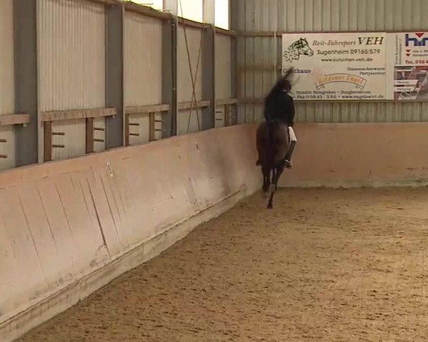Reitturnier Bad Windsheim/Mfr. 2022
