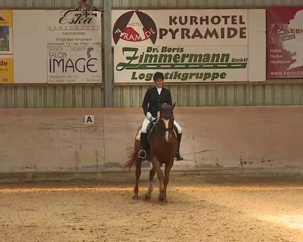 Reitturnier Bad Windsheim/Mfr. 2022