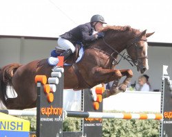 stallion Urano (Belgium Sporthorse, 2004, from Baloubet du Rouet)