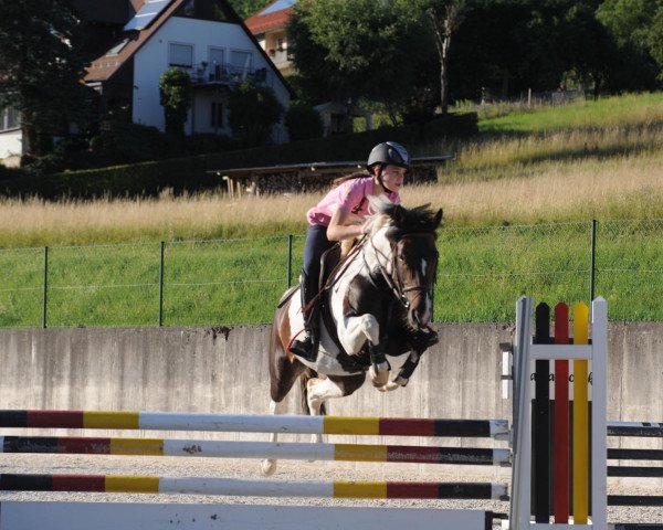 jumper Painted Pleasure (German Riding Pony, 2003)