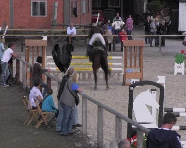 Springpferd Caprice 322 (Westfale, 1999, von Cinamant K)