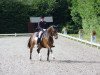 dressage horse Cornichon 2 (Bavarian, 1997, from Cheenook)