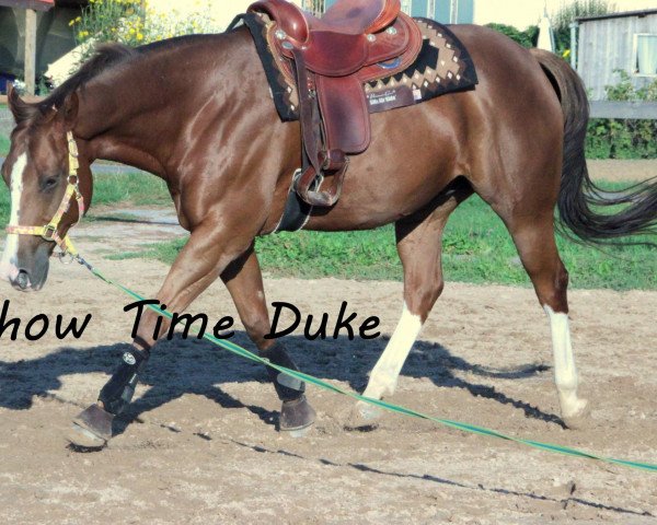 horse Show Time Duke (Quarter Horse, 2003, from Show Time Freckles)