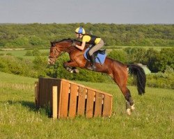 Springpferd Schmarks Mon Cherie (Deutsches Reitpony, 2003, von Don)