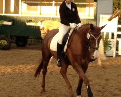 dressage horse Riviera Rosso (Westphalian, 2003, from Rilke)