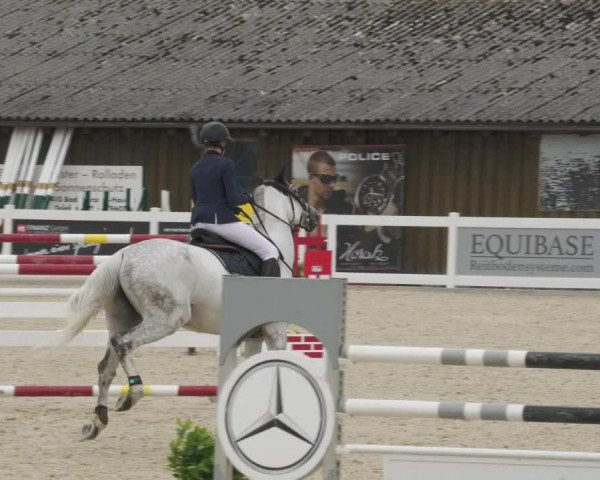 Reitturnier Memmingen/Schw. 2022