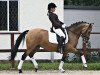 broodmare Aureli D (German Riding Pony, 2004, from Amarillys Sensation D)