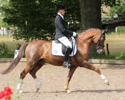 dressage horse Nacho (German Riding Pony, 2004, from Nacromancer in the dark)