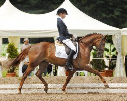 broodmare Riviera Star WE (German Riding Pony, 2006, from Cyriac WE)