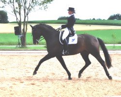 dressage horse Pommery TSF (Trakehner, 2004, from Hibiskus)