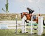 jumper Magic 281 (German Riding Pony, 2017, from Maverick)