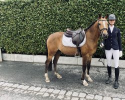 Dressurpferd Fr Charmeur (Deutsches Reitpony, 2017, von Caribbean Gold)