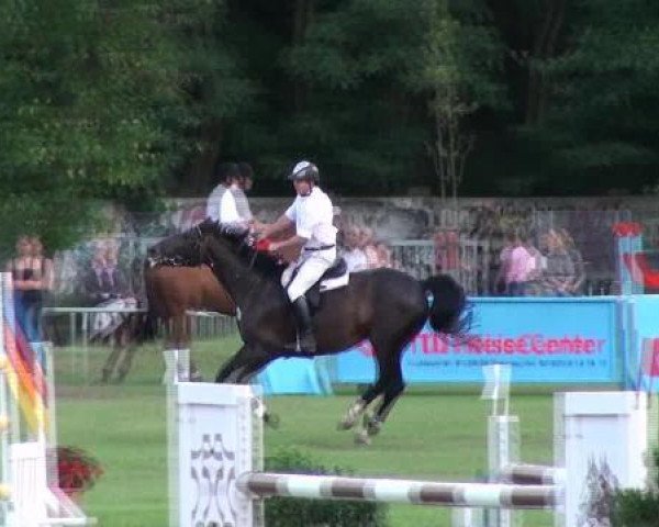 jumper Saskia B (German Sport Horse, 2005, from Saccor)