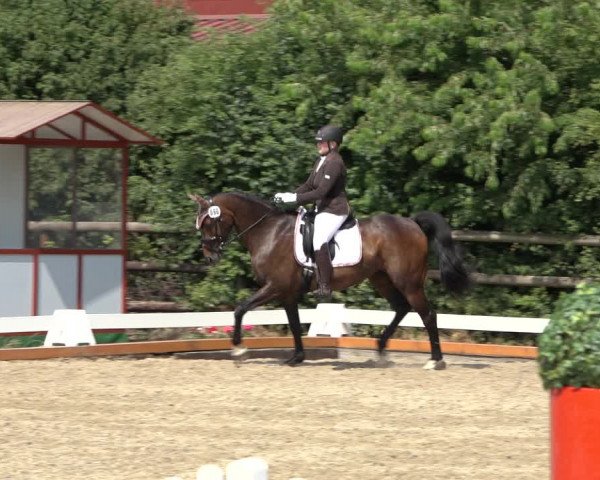 Reitturnier Schillerslage 2022