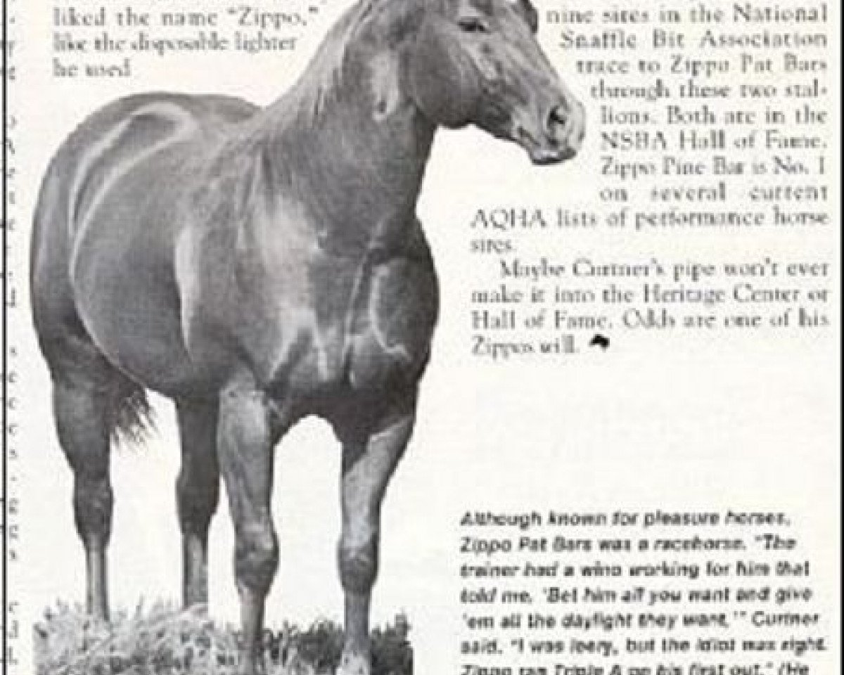 Deckhengst Zippo Pat Bars (Quarter Horse, 1964, von Three Bars xx)