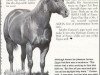 stallion Zippo Pat Bars (Quarter Horse, 1964, from Three Bars xx)