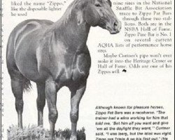 stallion Zippo Pat Bars (Quarter Horse, 1964, from Three Bars xx)