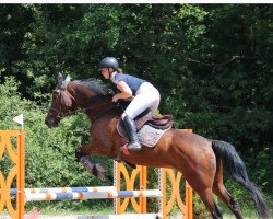 jumper Spirit in the Sky 2 (Irish Sport Horse, 2005, from Courage II)