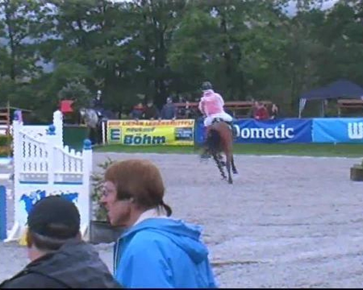 jumper Clyd (Westphalian, 2005, from Calato)