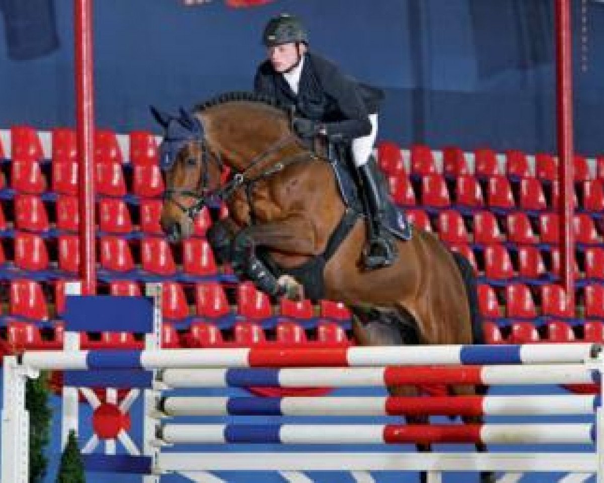 stallion Cosil (Oldenburg, 2006, from Cola 10)