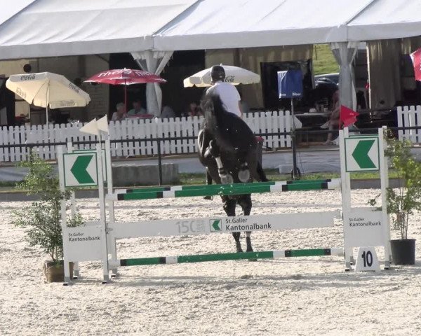 Reitturnier Gossau 2022