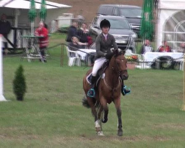 jumper Chantre 32 (German Riding Pony, 2003, from Caliostro)