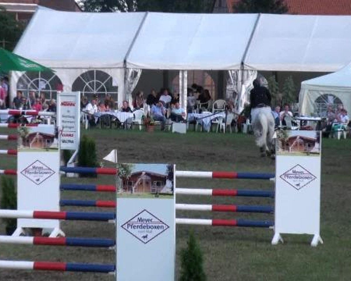 stallion Demet - Apokalipsis (Oldenburg, 2003, from All in One)