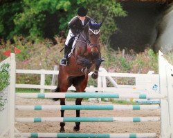 broodmare Natiosa (Oldenburg show jumper, 2006, from Carinue)