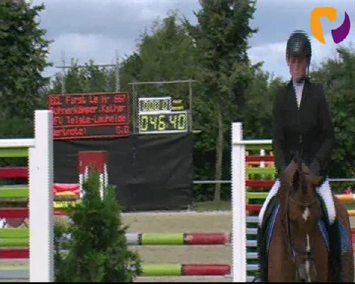 Springpferd ECL First Lady (Westfale, 2008, von ECL-Follow Me)