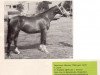 broodmare Ohonny (KWPN (Royal Dutch Sporthorse), 1973, from Joost)