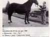 broodmare Waldina (KWPN (Royal Dutch Sporthorse), 1980, from Nimmerdor)