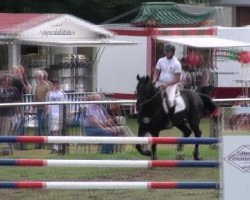 jumper Veredus Lady (Hanoverian, 2005, from Escudo I)