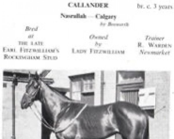 stallion Callander xx (Thoroughbred, 1946, from Nasrullah xx)