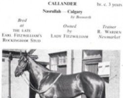 stallion Callander xx (Thoroughbred, 1946, from Nasrullah xx)