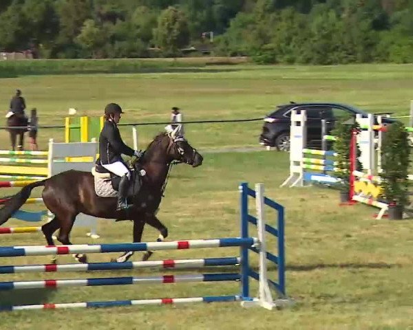 Reitturnier Bad Windsheim/Mfr. 2022