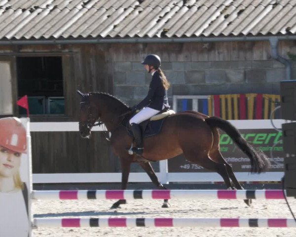 Reitturnier Memmingen/Schw. 2022
