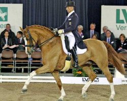 dressage horse Amüsant OLD (Oldenburger, 1998, from Alabaster)