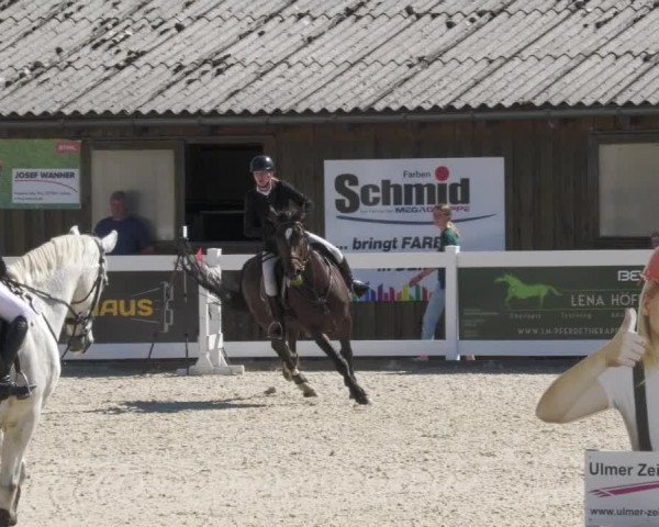 Reitturnier Memmingen/Schw. 2022