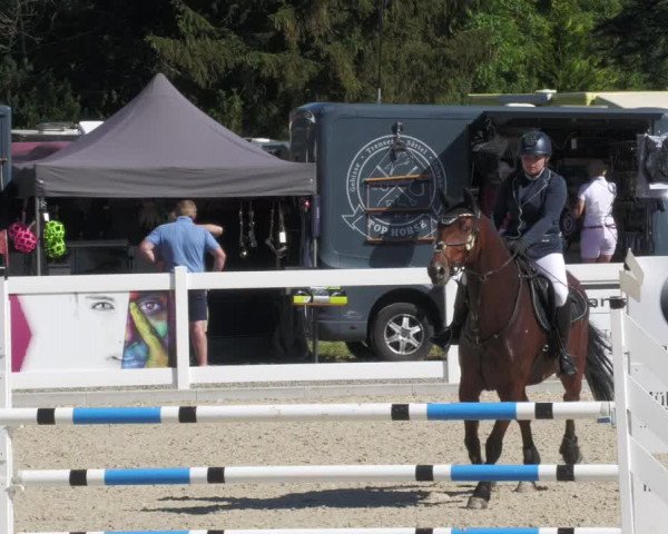 Reitturnier Memmingen/Schw. 2022