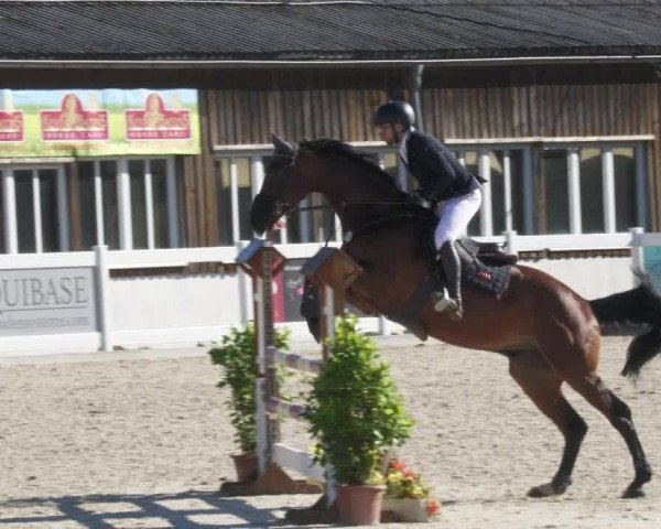 Reitturnier Memmingen/Schw. 2022