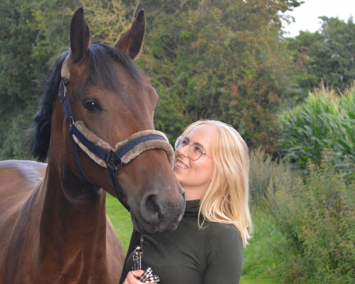 jumper Louis D'aragon (KWPN (Royal Dutch Sporthorse), 2016, from Douglas)