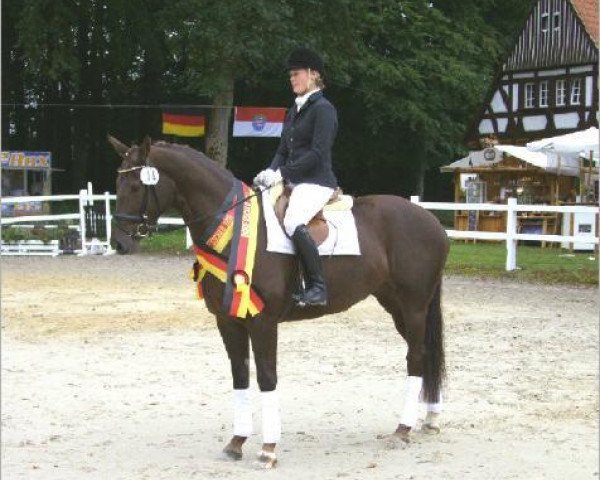Pferd Altefeld's Ghandara (Deutsches Reitpferd, 2006, von Graf Faedo)