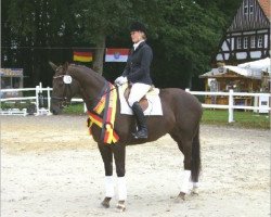 horse Altefeld's Ghandara (German Warmblood, 2006, from Graf Faedo)